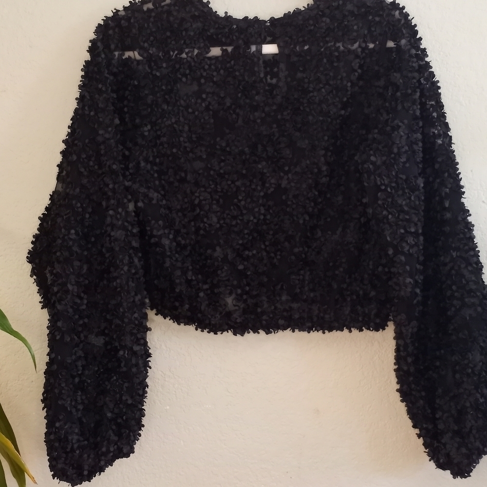 Zara Sheer Black Mesh With 3D Applique Petals Boho Casual Crop Long Sleeve Top - Picture 2 of 7
